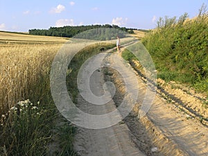 Landscapes Poland