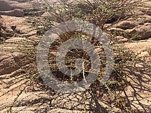 Landscapes of poor desert nature on the outskirts of Sharm el-Sheikh.