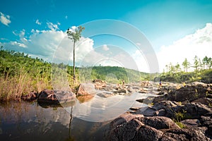 Landscapes of Rio on Pools in the Mountain Pine Ridge Forest Reserve in Belize