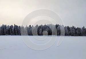 Landscapes of Russia - the edge of the forest in winter