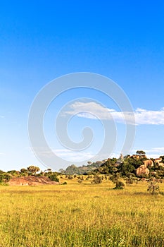 Landscapes of Serengeti. Tanzania, Africa