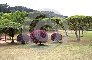 Landscapes in the Shimen Forest Park spring