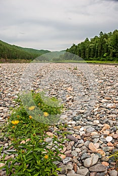 Landscapes of Siberia. Early morning on the Kiya River. Mountains, forest coast strewn with stones.