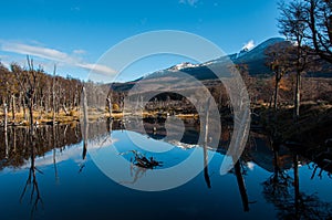 Landscapes of Tierra del Fuego, South Argentina