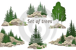 Países árboles a rocas 
