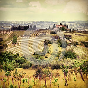 Landscapes of Tuscany photo