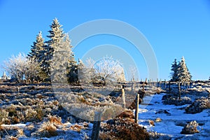 Landscapes of the Vosges mountains in winter