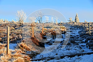 Landscapes of the Vosges mountains in winter