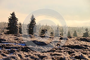 Landscapes of the Vosges mountains in winter