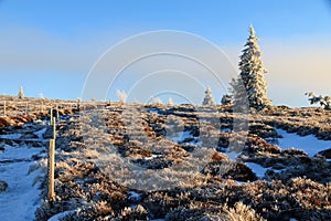 Landscapes of the Vosges mountains in winter