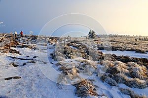 Landscapes of the Vosges mountains in winter