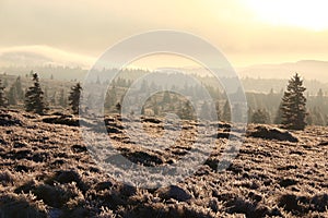 Landscapes of the Vosges mountains in winter