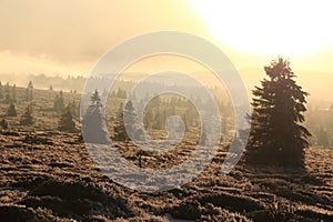 Landscapes of the Vosges mountains in winter