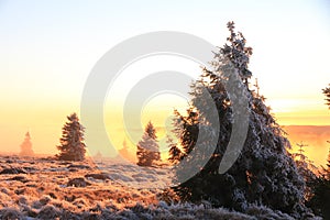 Landscapes of the Vosges mountains in winter