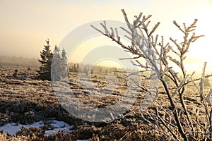 Landscapes of the Vosges mountains in winter