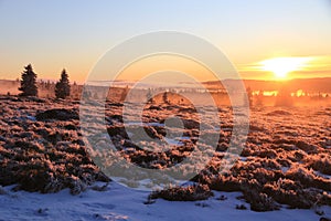 Landscapes of the Vosges mountains in winter