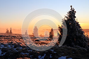 Landscapes of the Vosges mountains in winter