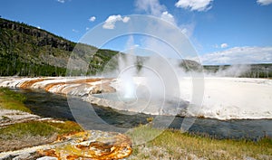 Landscapes of yellow stone national park