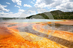 Landscapes of yellow stone national park