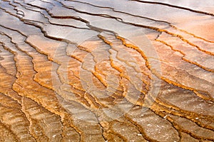 Landscapes of yellow stone national park