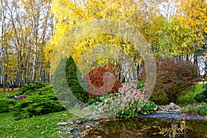 Landscaping in the autumn afternoon