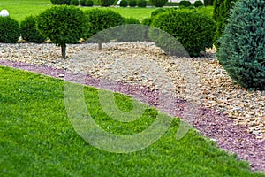 Landscaping of a backyard garden with ornamental growth cypress.