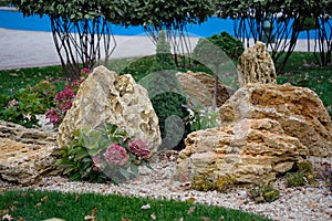 Beautiful plants in a decorated flower bed near the house.