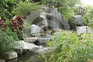 Landscaping Design
