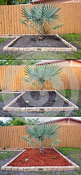 Landscaping and Design