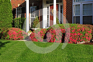 Landscaping in Front of House