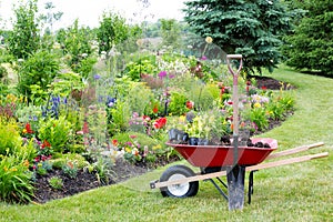 Landscaping the garden