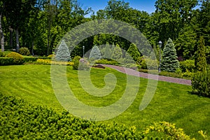 Landscaping in the garden. The path in the garden.Beautiful back