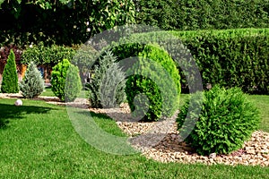 Landscaping garden with stones scattered wave with green bushes.