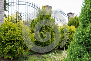 Landscaping, gardening services. Focus on foreground, soft background with copyspace