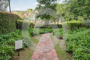 Landscaping green garden and brick pathway