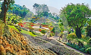 Landscaping of hilly area, Mae Fah Luang garden, Doi Tung, Thailand