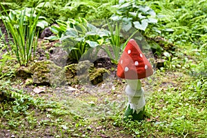 Landscaping in a home garden