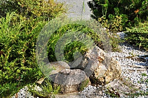 Landscaping. Large stones, green bushes and small stones.