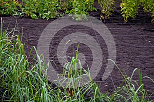 Landscaping. A lined plot of land for planting ornamental plants.