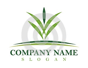 Landscaping logo design