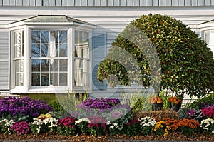 Landscaping near bay window photo