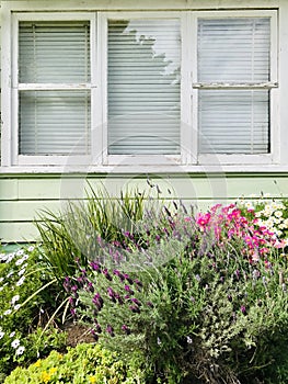 Landscaping near below the window.