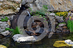 Landscaping pond photo