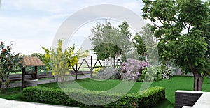 Landscaping rustic style garden, 3D render