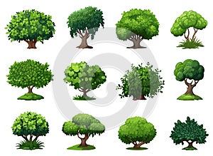 Landscaping shrub plants. Detailed vecor wood shrubs set, cartoon bushes with green foliage isolated illustration