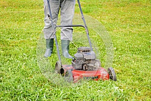 Landscaping worker pushing lawnmower on lawn