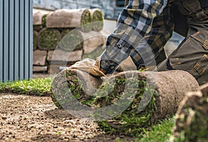 Landscaping Worker Rolling Over Natural Grass Turfs