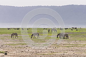 Landscaprs .Ngorongoro Crater, Tanzania