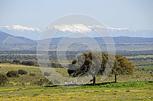 Landschap Extramadura, Landscape Extramadura