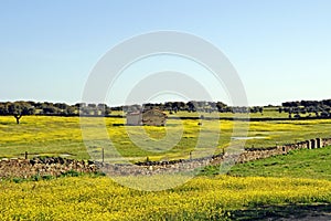 Landschap Extramadura, Landscape Extramadura